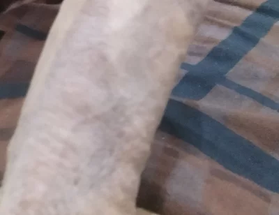 Handsome Boy Masturbation
