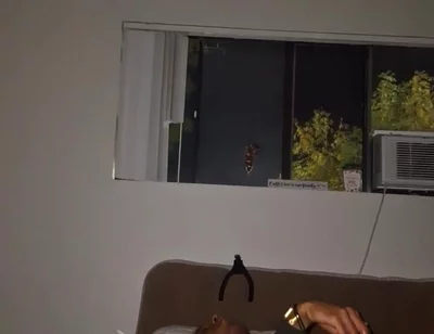 Late Night Dildo & Wank Sesh