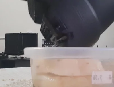Crushing Pineapple Boots