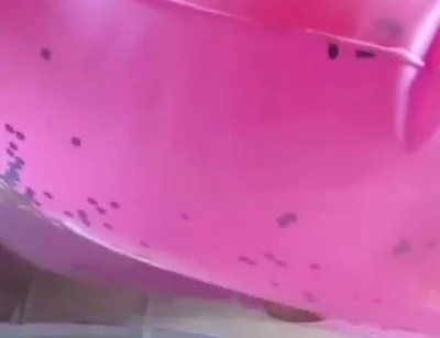 Beautiful inflatable swimrings in my bed