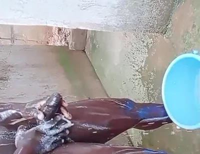 BBC Massage Orgys in Africa