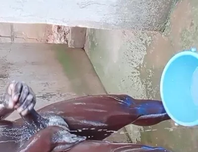 BBC Massage Orgys in Africa