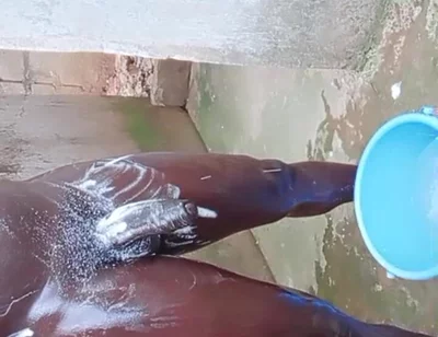 Wow Big Dick Workouts Experience