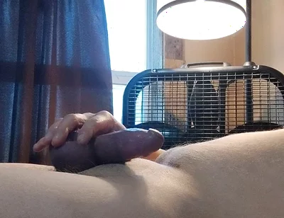 Uses a Toy