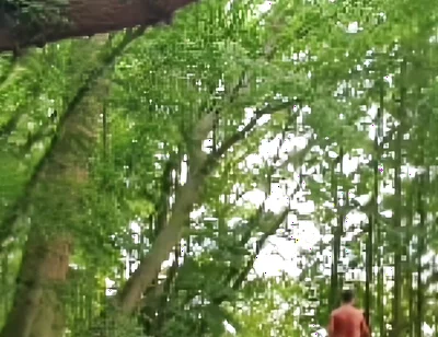 Compilation Outdoor Nudity, Masturbation, Pee & Ass Images