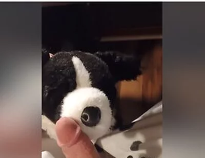 Border Collie Plushie Licks And Makes Onesie Pubby Cum!