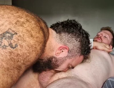 Sucking Bear Cock