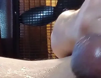 Cum Clean My Cock