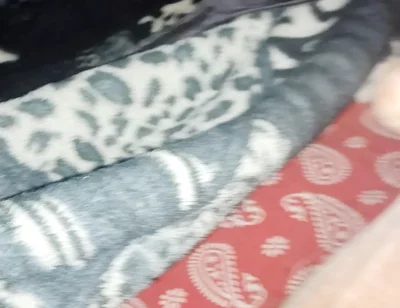 My Video