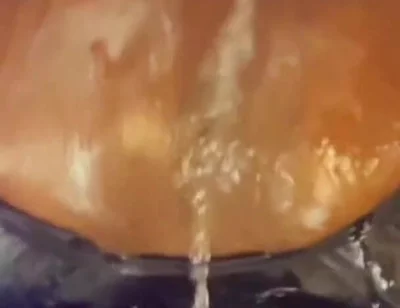 Creampie Ejector