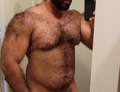 Muscular Bear