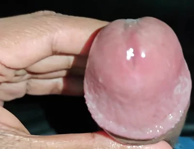 Just Slowly Edging My Cock. It's Absolutely Drenched in My Pre-cum.