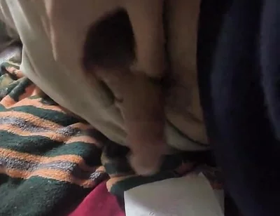İ'm Cumming