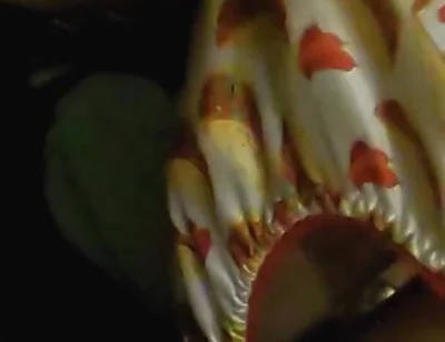 Satin taco thong bulge play jerk & cum