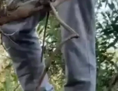 Hot Amateur Boy Sucks and Rims in the Woods