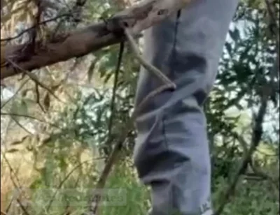 Hot Amateur Boy Sucks and Rims in the Woods