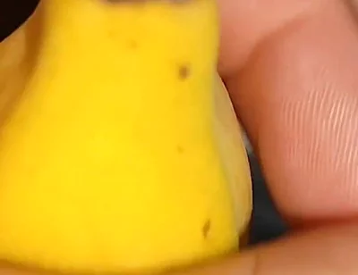 Impressive Surprise When It Is Peeled.