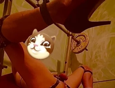 Anal spreader