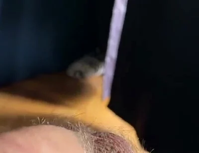 Cum with Tim Blesh