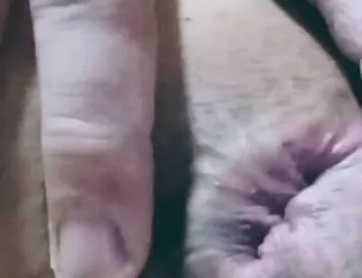 Nice Anal