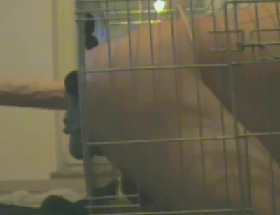 Slave in Cage Gets Anal Used