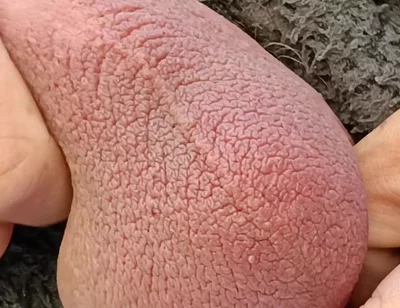 Big Uncut Cock Edging and Cumming, Outdoor Onesie Wank for the Neighbours - Rockardglans