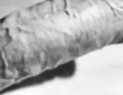 Revealing My Big White Hard Cock