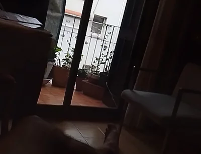 Through the Window