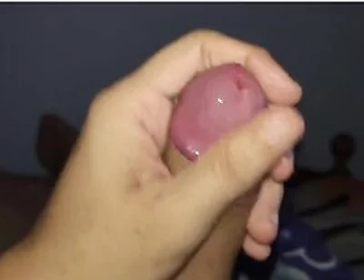 The Most Beautiful Cock You Will See Today
