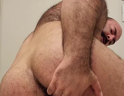 Bear Ass