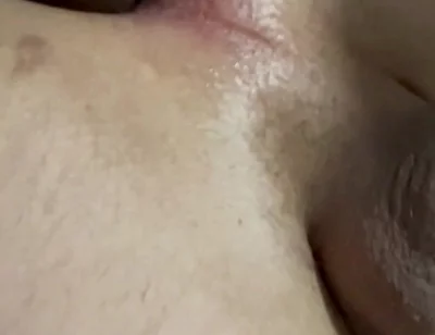 White Bussy