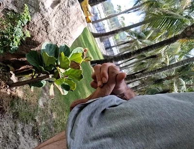 Public Beach Cock Flash