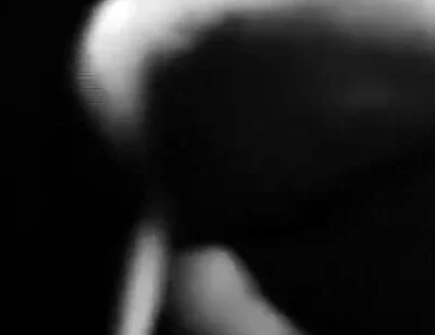 4291721065.mp4
