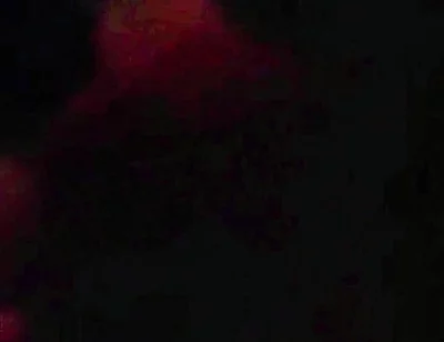 Goon Sucking Uncut Cock at the Park