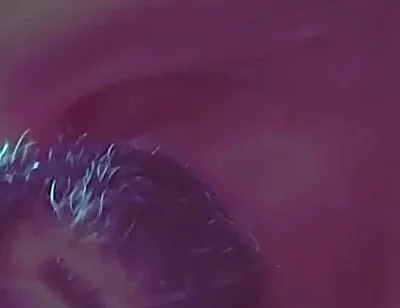 Foot, Armpits, Cum Soft Penis