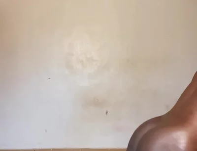 The Rough Prince