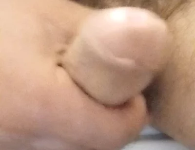 Stay Close to My Penis