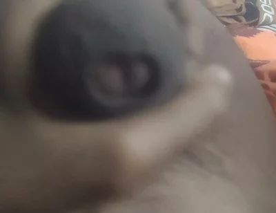 Aunty's Pussy Became Wet After Seeing My Penis.