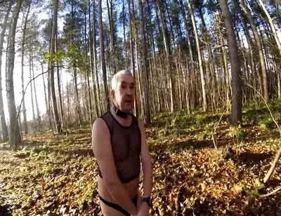 Cold Day in the Woods