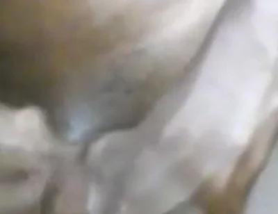 Cumming Hard Stroking My BBC