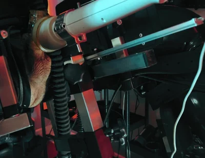 Rubber Discipline Revenge