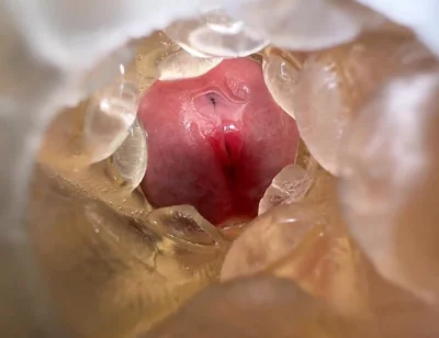 Orgasm on Peak Solo Morning Dirty Talk