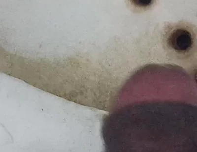 Land Dkkd