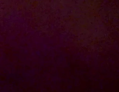 Anal Shenanigans