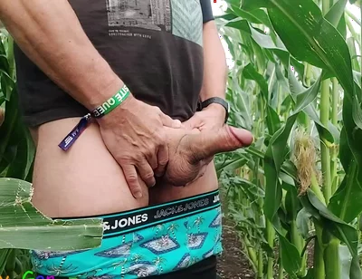 Dirty Jerking off My Big Cob in the Cornfield, Showing My Asshole and Squirting Cream on a Leaf.