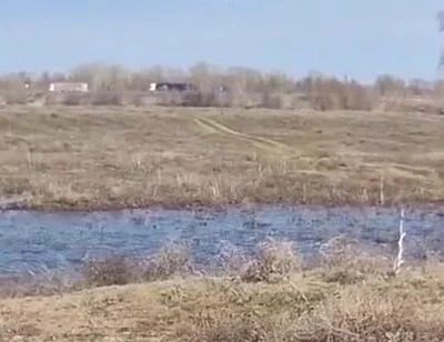 Fuck Me on the Side of the Road, Shove a Big Cock with Cum up My Ass