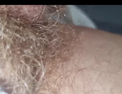 Solo Cumshot - Man - Masturbation - Moans of Pleasure - Hard Cock Jerk off - Masturbation with Orgasm