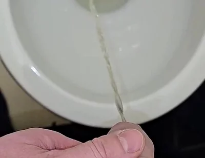 Pissing to the Toilet