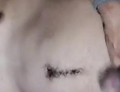 Ass Hole Show