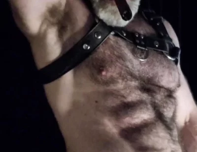 Hairy Muscle Leather Stepdaddy Showing off